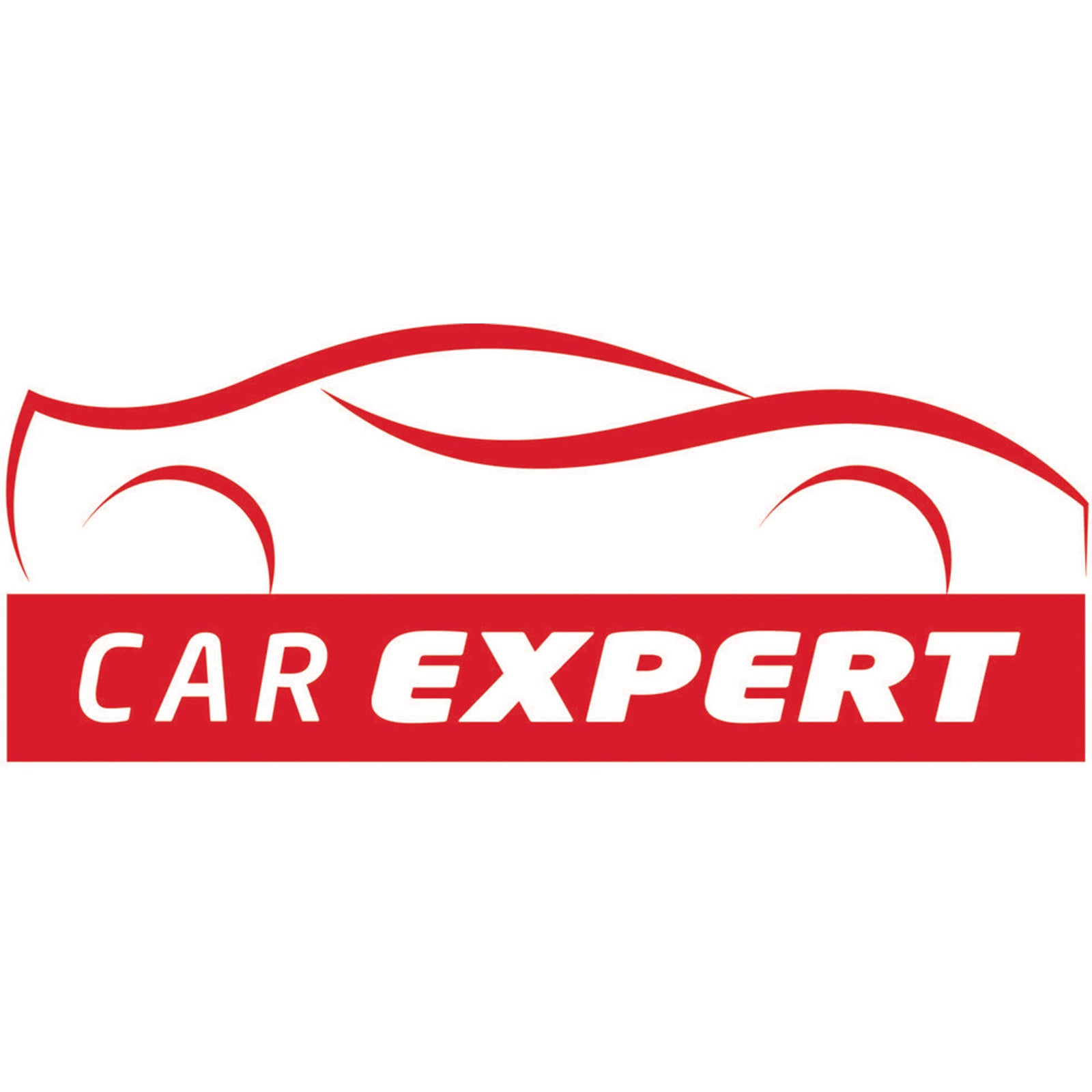 Caricatore universale per auto caricabatterie avviatore macchina 12V 24V