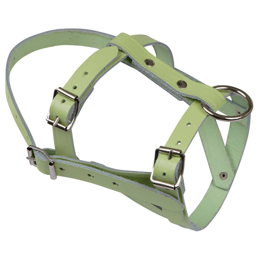 Capezza per pecora in pelle di bufalo doppia con fibbia in metallo