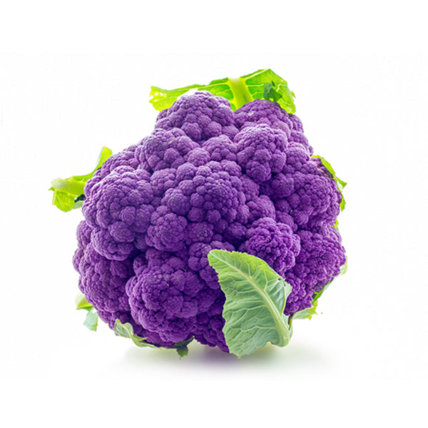 Semi di cavolfiore violetto di Sicilia precoce piante per orto e giardino