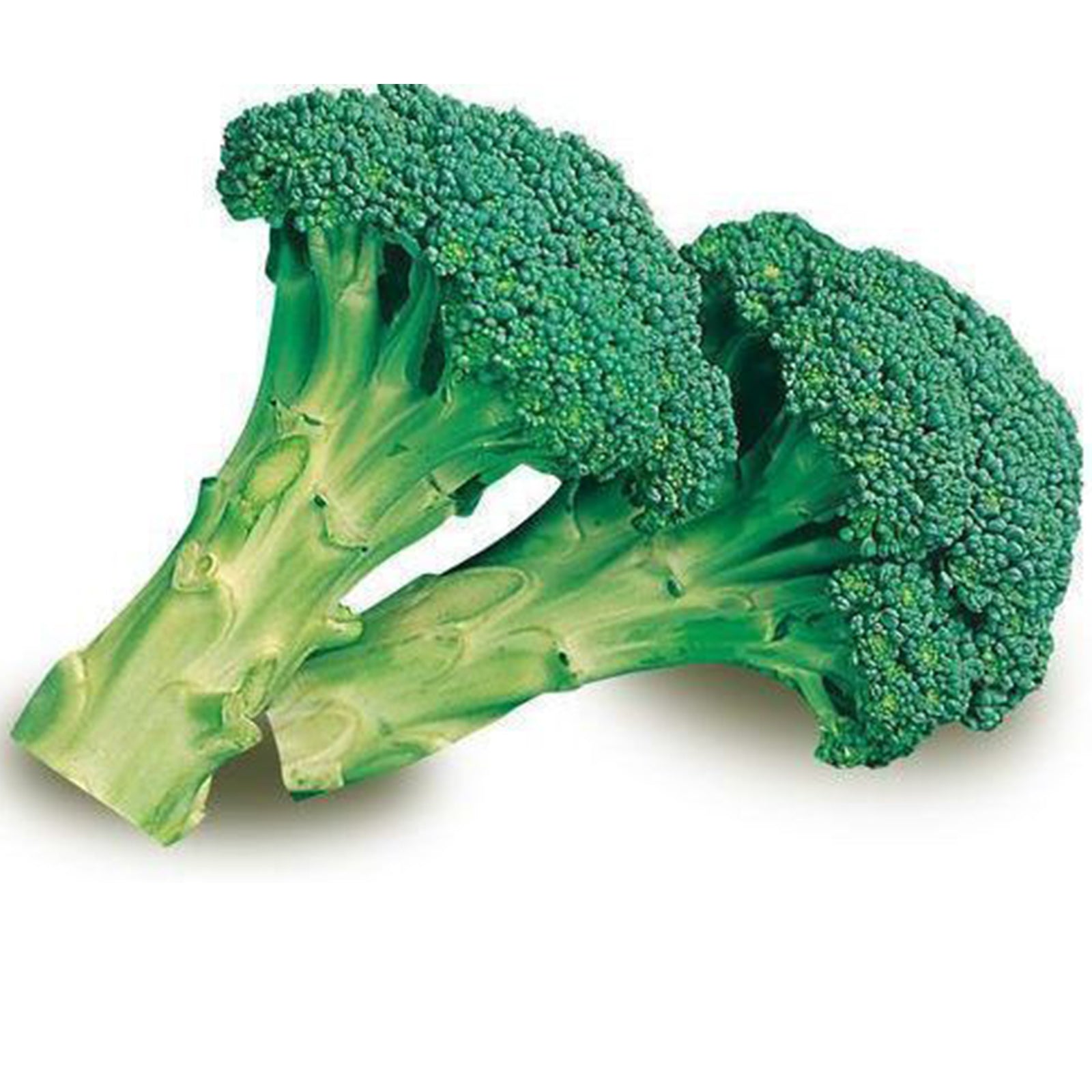 Semi di Cavolo Broccolo Ramoso Calabrese di Sarno piante per orto e giardino
