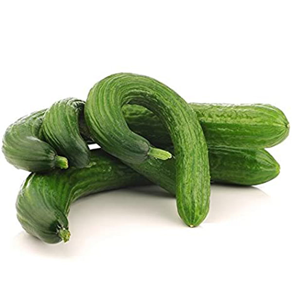 Semi di cetriolo "Serpente Cinese" piante per orto e giardino