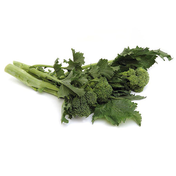 Semi di cima di Rapa "Riccia S.Marzano di marzo" piante per orto e giardino