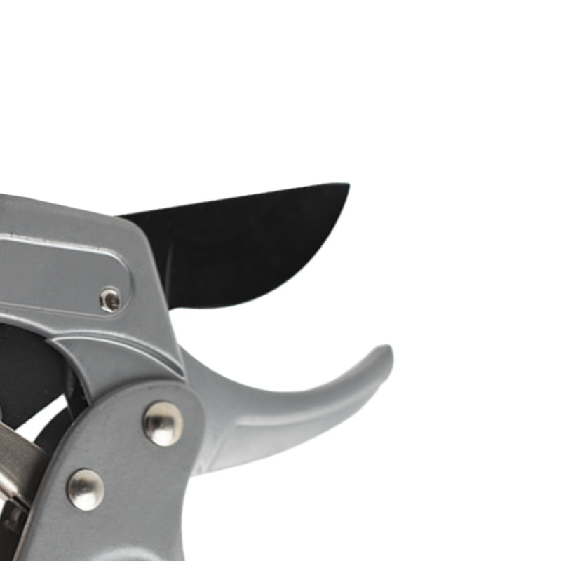 Forbici da pota a cricchetto per giardinaggio ed agricoltura, vigneti e frutteti