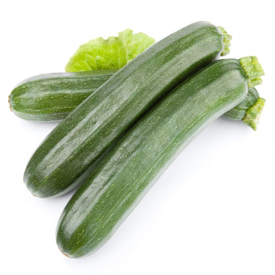 Semi di zucchino "Diamant Hybrid" piante per orto e giardino coltivazione domestica e professionale