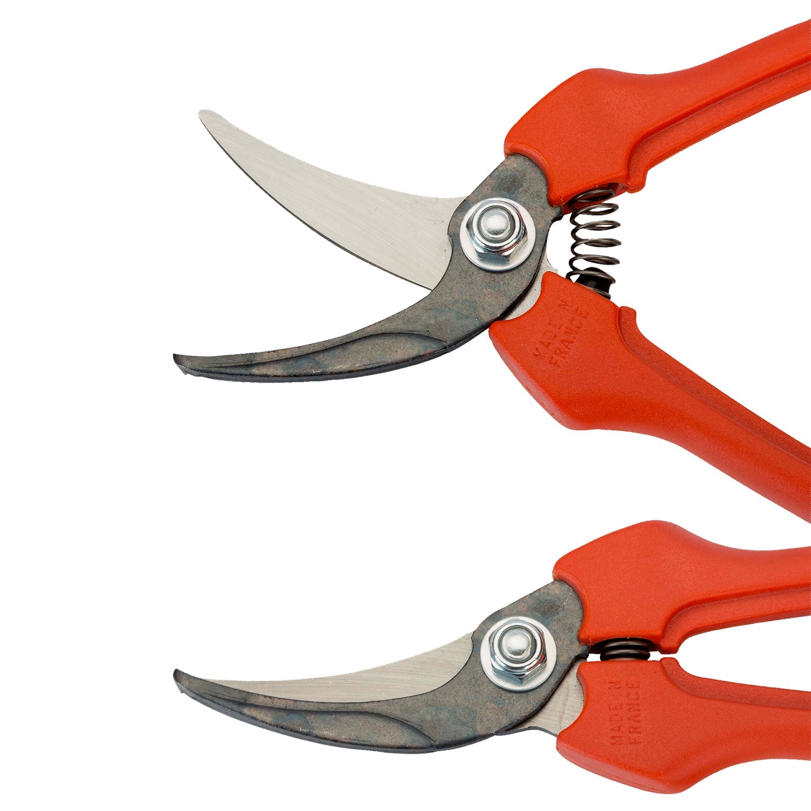 Forbice cogliuva per vendemmia con lama in acciaio inox da 19 cm