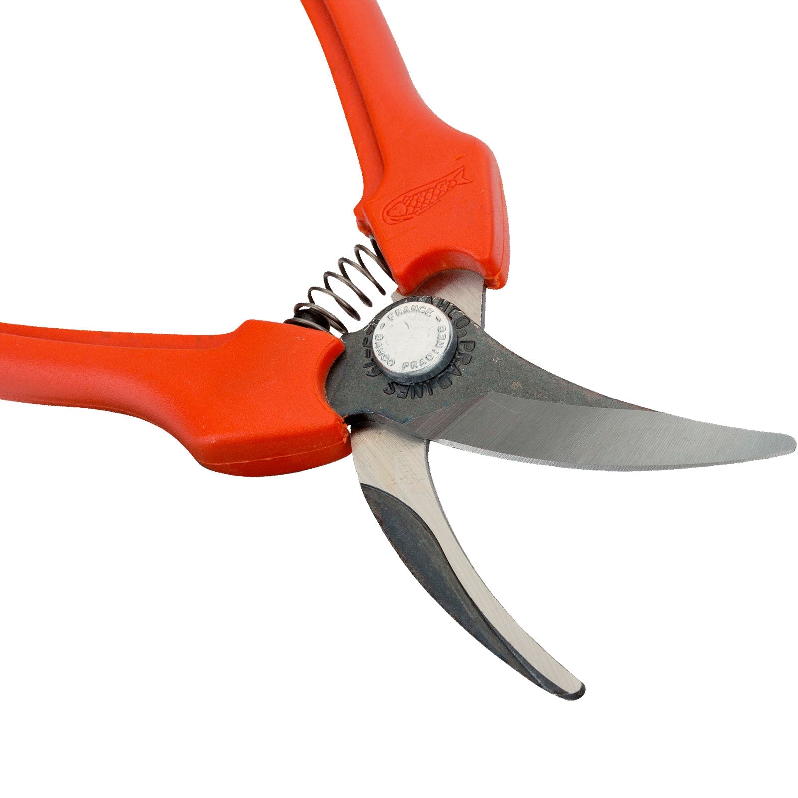 Forbice cogliuva per vendemmia con lama in acciaio inox da 19 cm