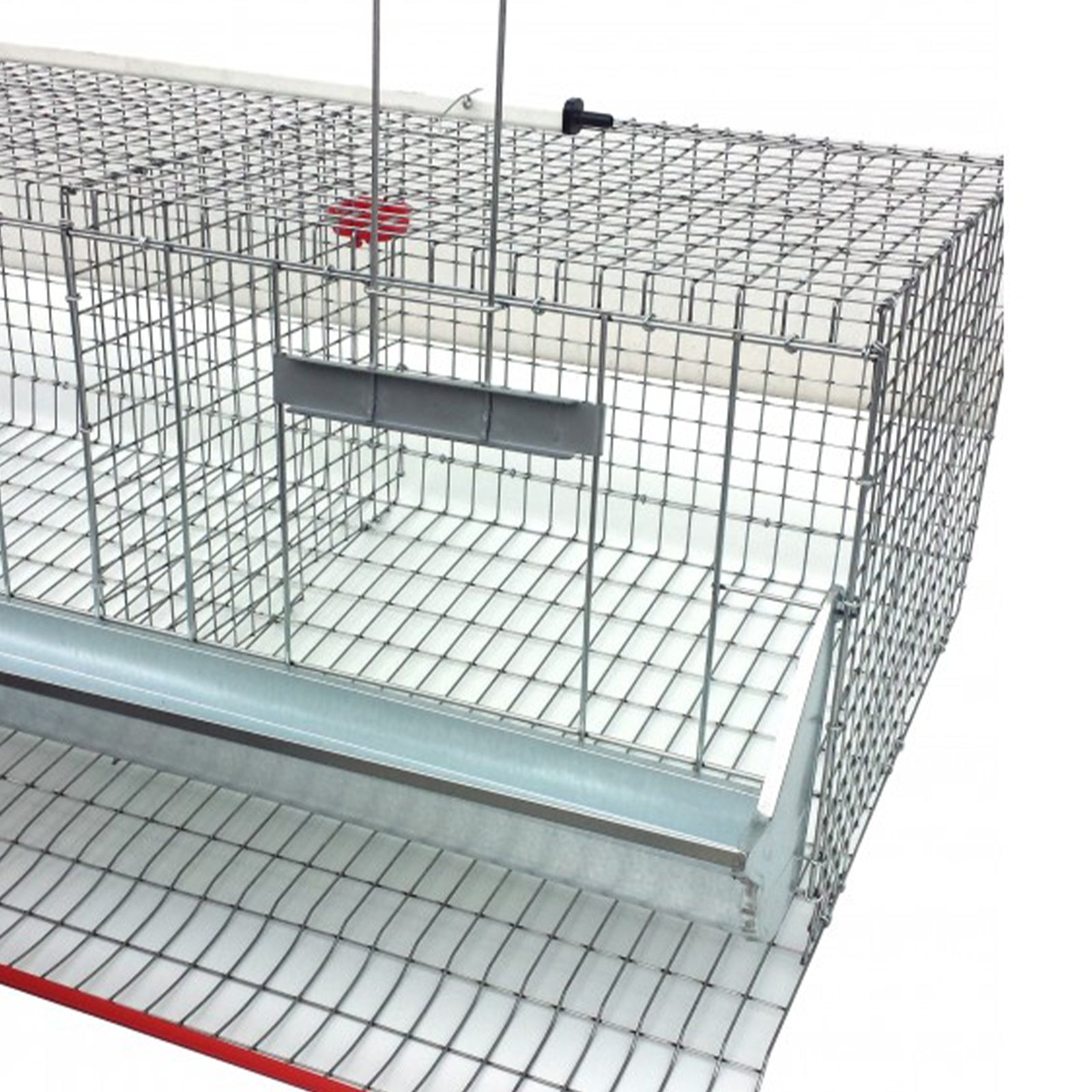 Gabbia per galline ovaiole in lamiera zincata con celle chiudibili e abbeveratoio