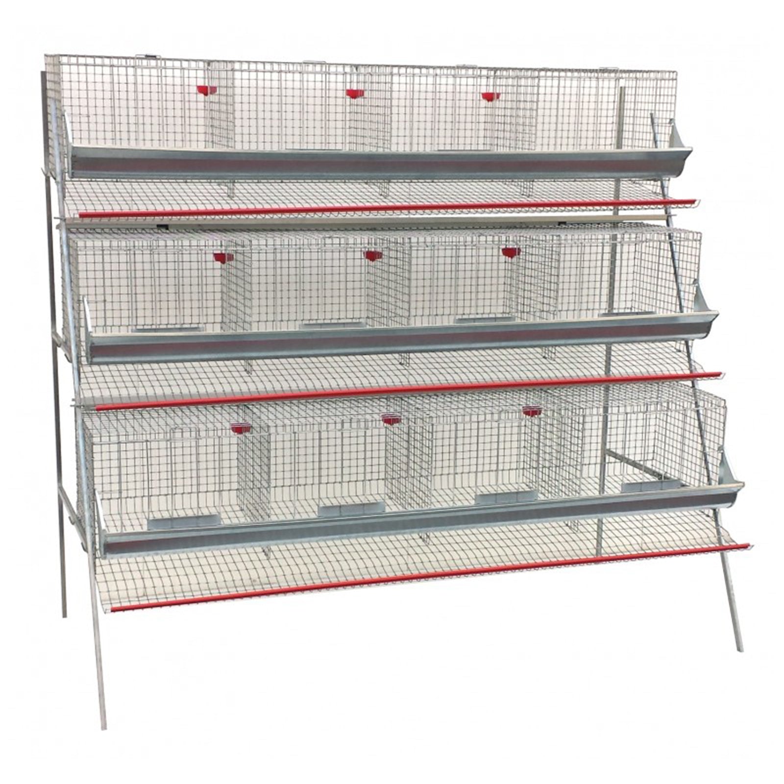 Gabbia per galline ovaiole in lamiera zincata con celle chiudibili e abbeveratoio