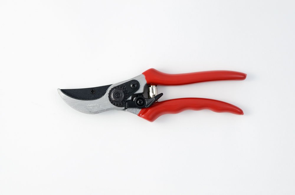 Forbici da pota per giardino e agricoltura "By-pass KS4T" vigneti e frutteti da 21 cm