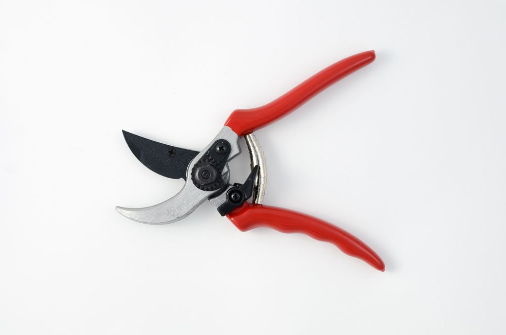 Forbici da pota per giardino e agricoltura "By-pass KS4T" vigneti e frutteti da 21 cm