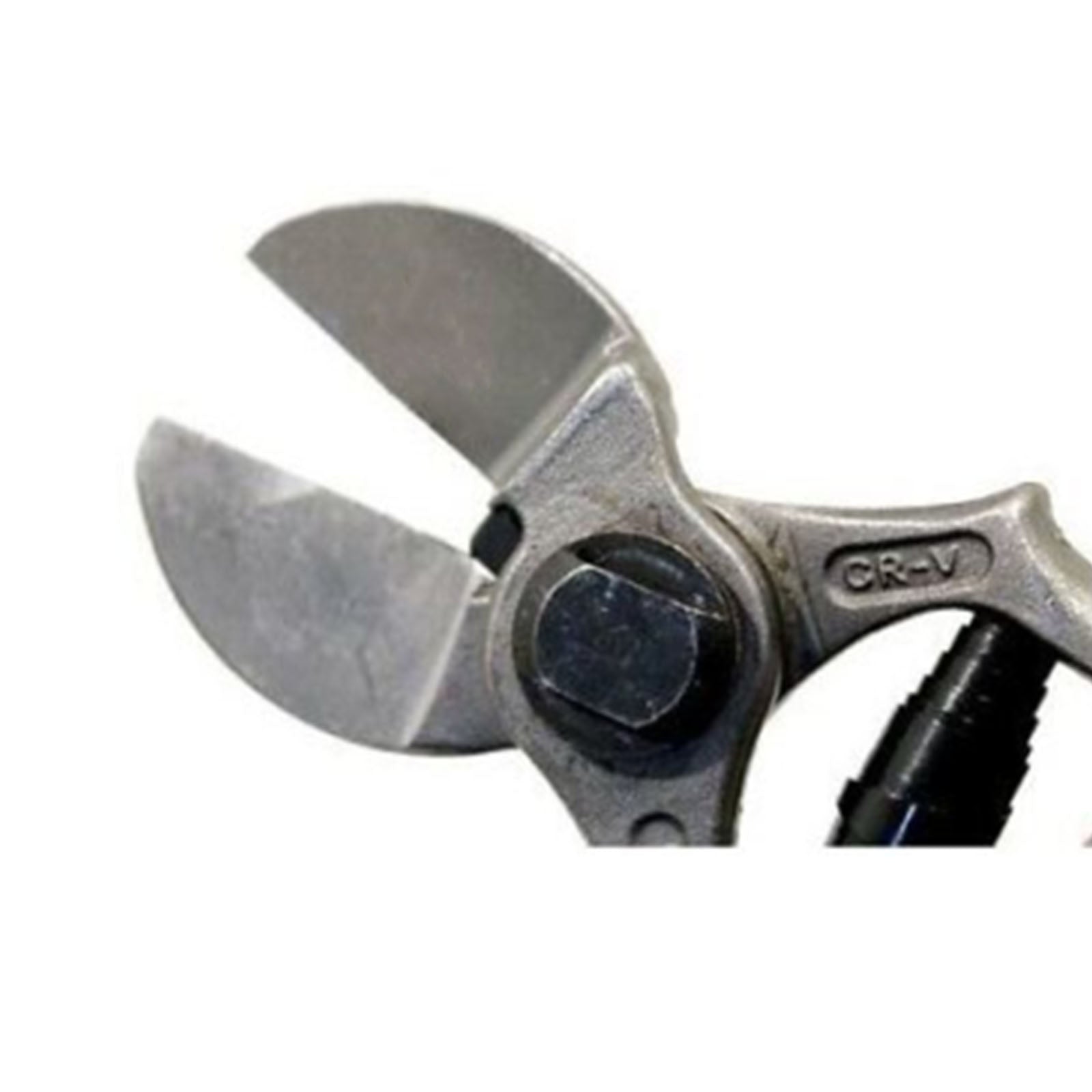 Forbici a doppio taglio per potatura frutteto da 21 cm in acciaio forgiato