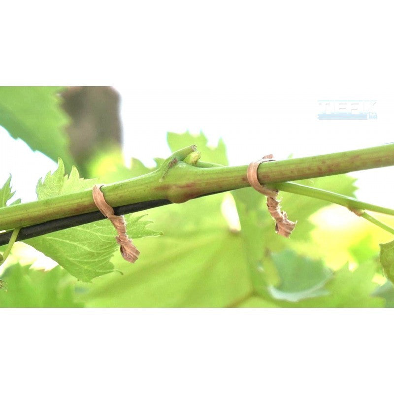 Piattina filo metallico cartonata tagliata a spezzoni per fissaggi manuali