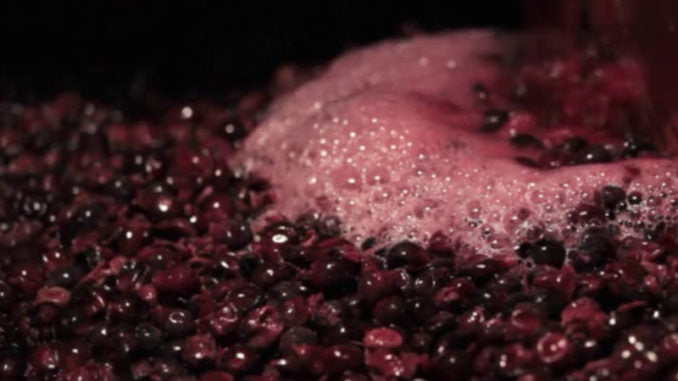 Mastellone "Sottotino" in plastica per masto del vino e agricoltura senza fori