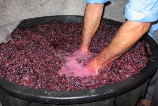 Mastello in plastica a due manici senza fori per mosto del vino e agricoltura nero