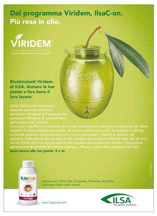 Biostimolante naturale per ulivi "ILSAC-ON" a base di idrolizzato enzimatico Fabaceae 1 lt