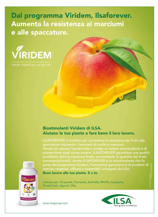 Concime fogliare promotore della resistenza dei frutti "ILSA No break" a base di calcio per orto e frutteti 1 lt