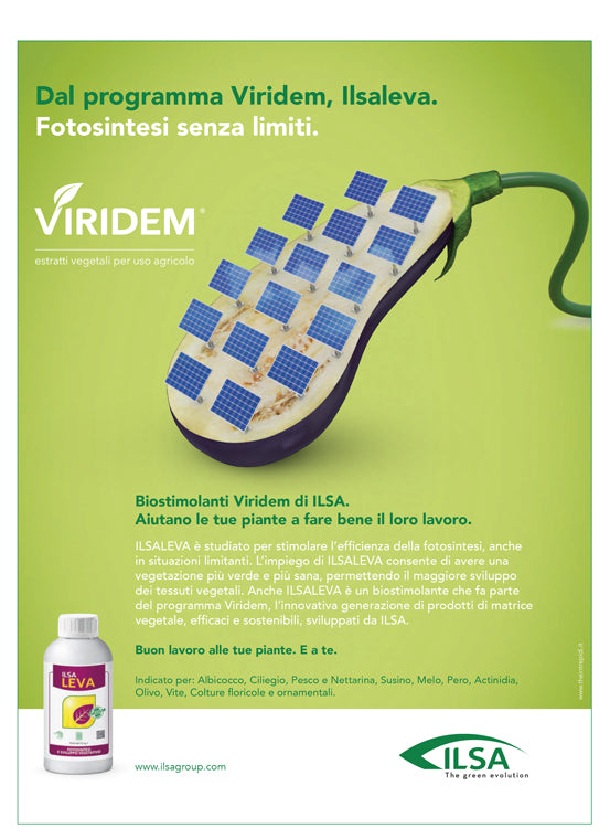 Concime fogliare azotato "ILSA Vivida" a base di azoto per frutteti e ortaggi 1 lt