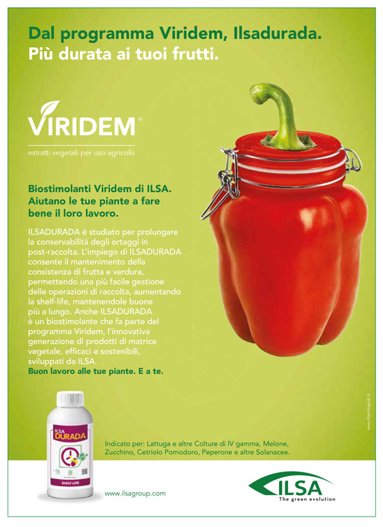 Biostimolante per frutteti ed ortaggi "ILSA DURADA" a base di idrolizzato enzimatico Fabaceae 1 lt