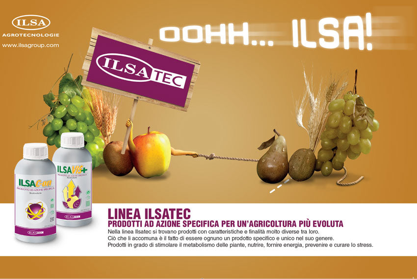 Biostimolante naturale per ulivi "ILSAC-ON" a base di idrolizzato enzimatico Fabaceae 1 lt