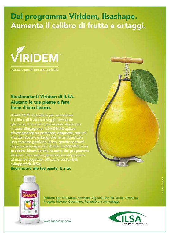 Concime fogliare azotato "ILSA Shape" a base di azoto per frutteti e ortaggi 1 lt