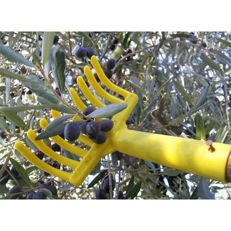 Rastrello a pettine per raccolta olive in pvc h 17 cm 9 denti con predisposizione asta