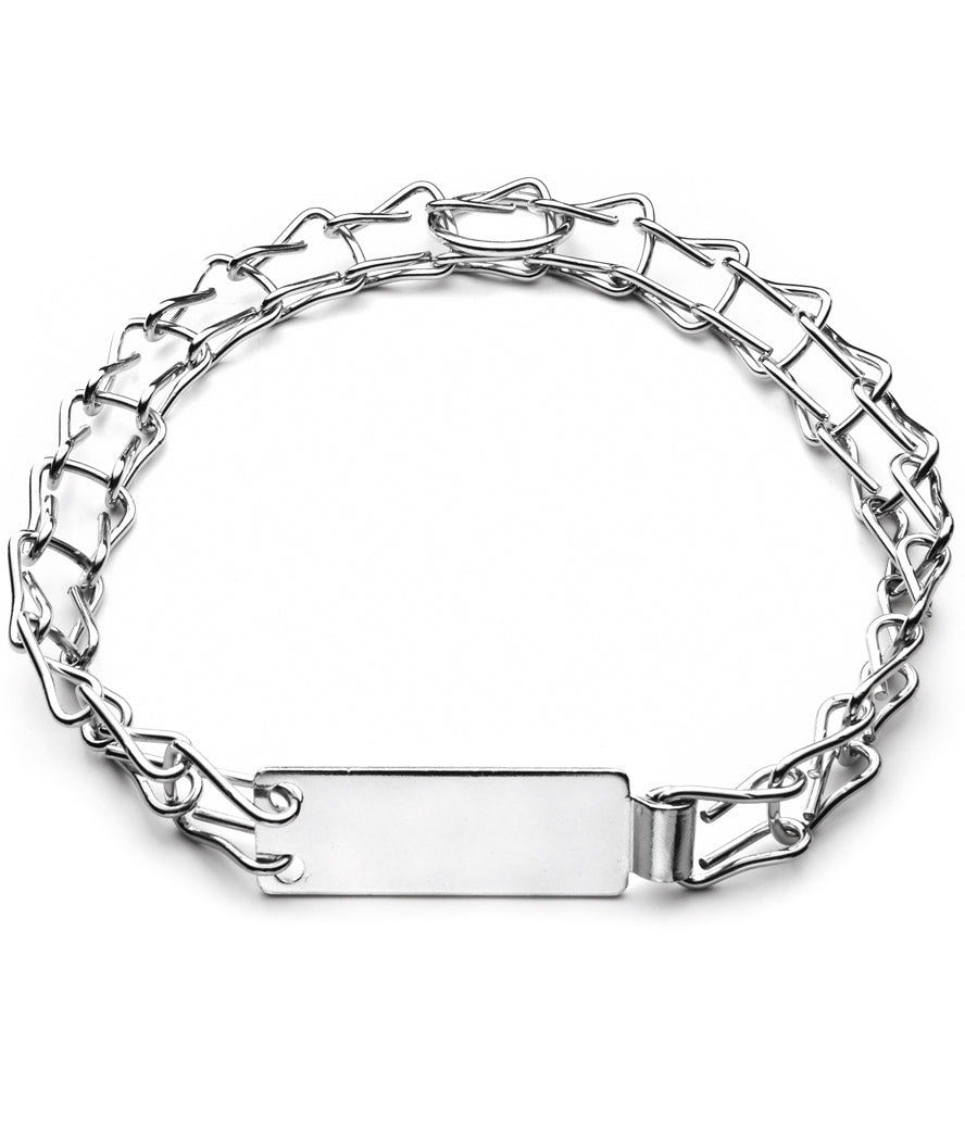 Collare a scaletta in acciaio nichelato per cani con targhetta