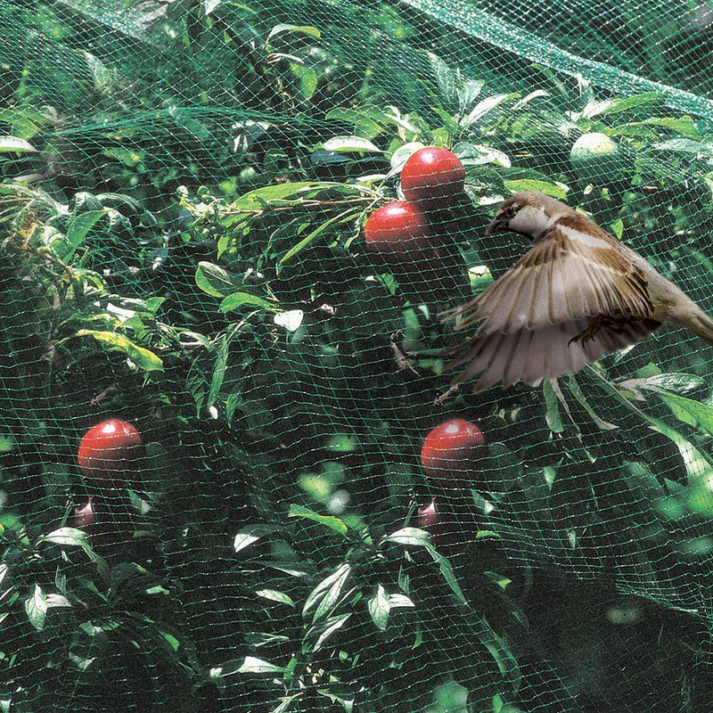Rete anti uccelli a maglia quadrata per orti e frutteti in Nylon anti UV 1 x 1 mm