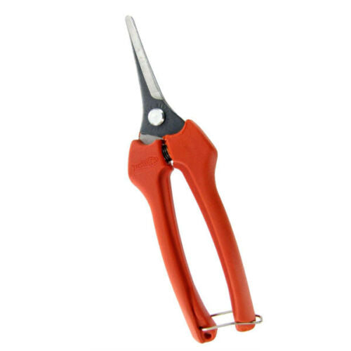 Forbice da pota per vendemmia e giardinaggio con lama dritta in inox da 19 cm