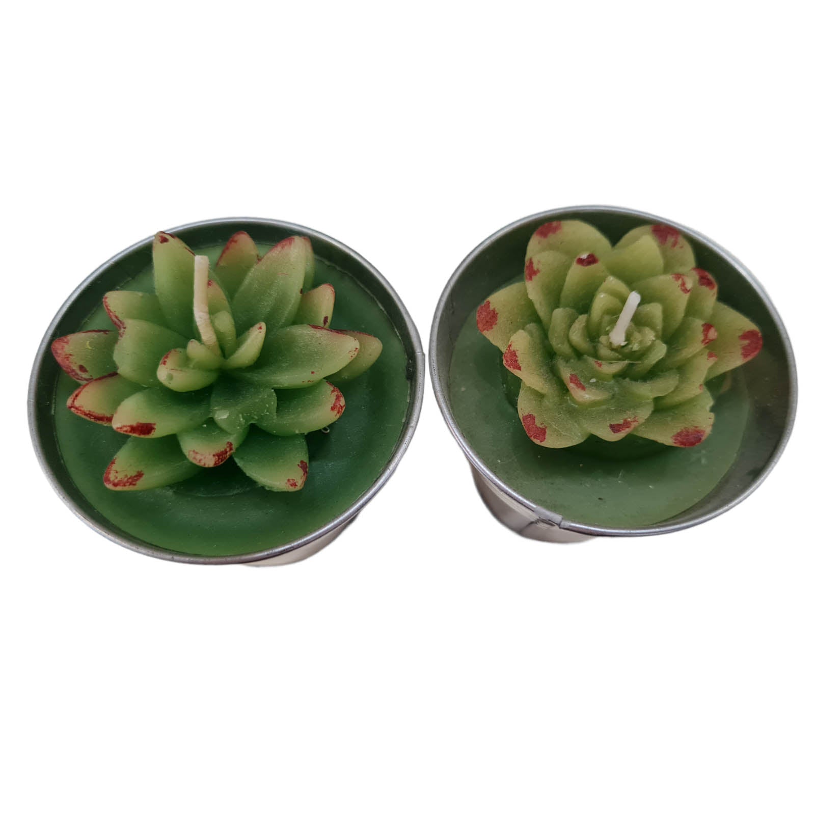 Candela a forma di piantina grassa decorazione luminosa per ambienti