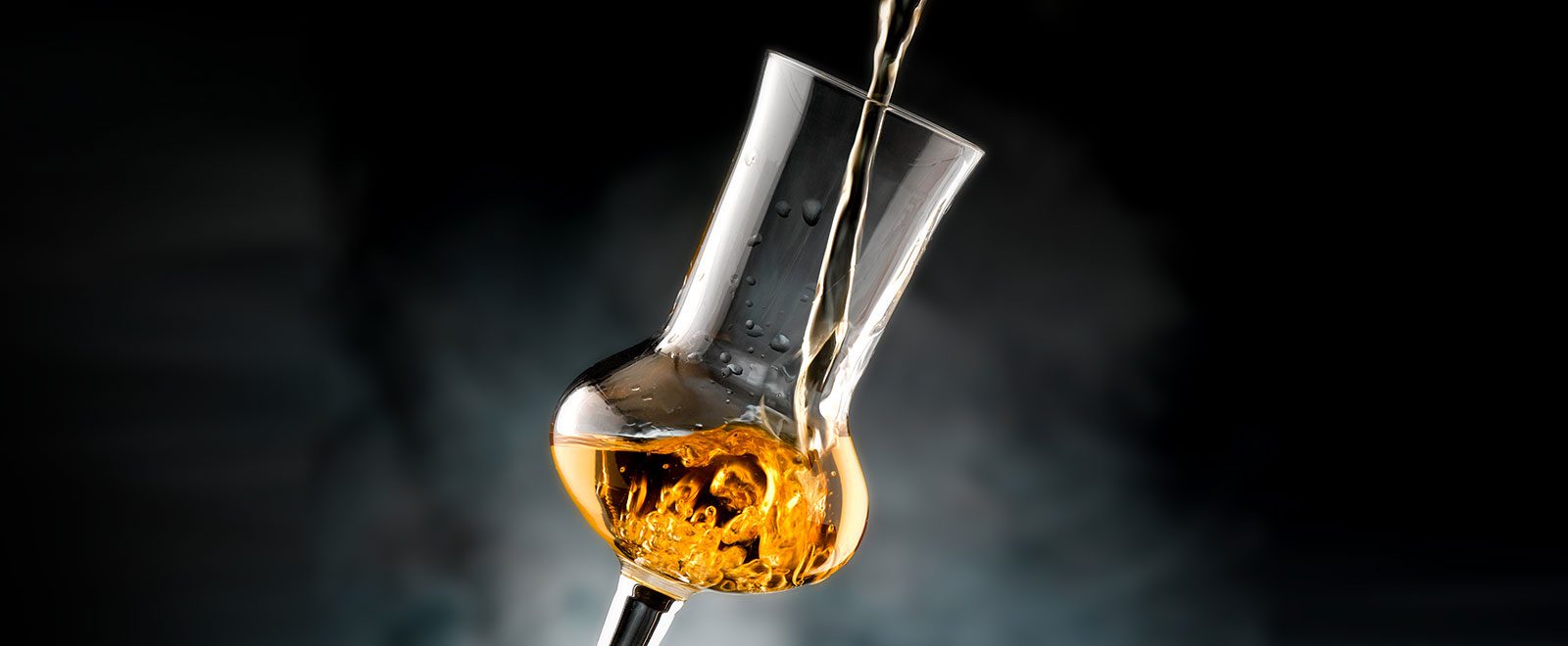 Tappo per bottiglia di vino e liquori a fungo sintetico con gambo da 19 mm 100 pezzi