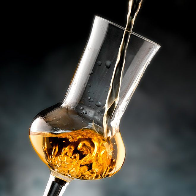Tappo per bottiglia di vino e liquori a fungo sintetico con gambo da 19 mm set da 100 pezzi
