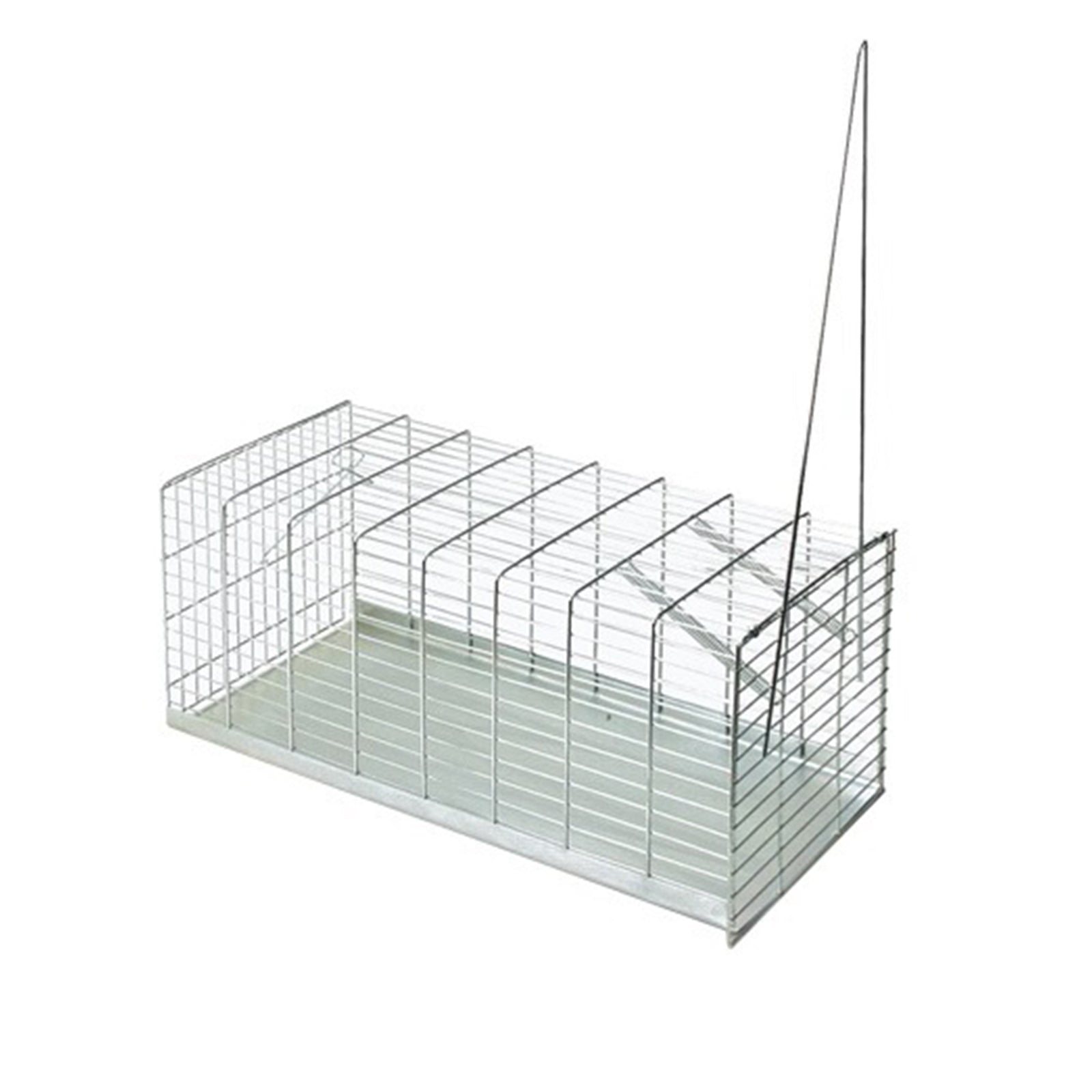 Trappola per topi e ratti a molla in acciaio zincato per interno ed esterno
