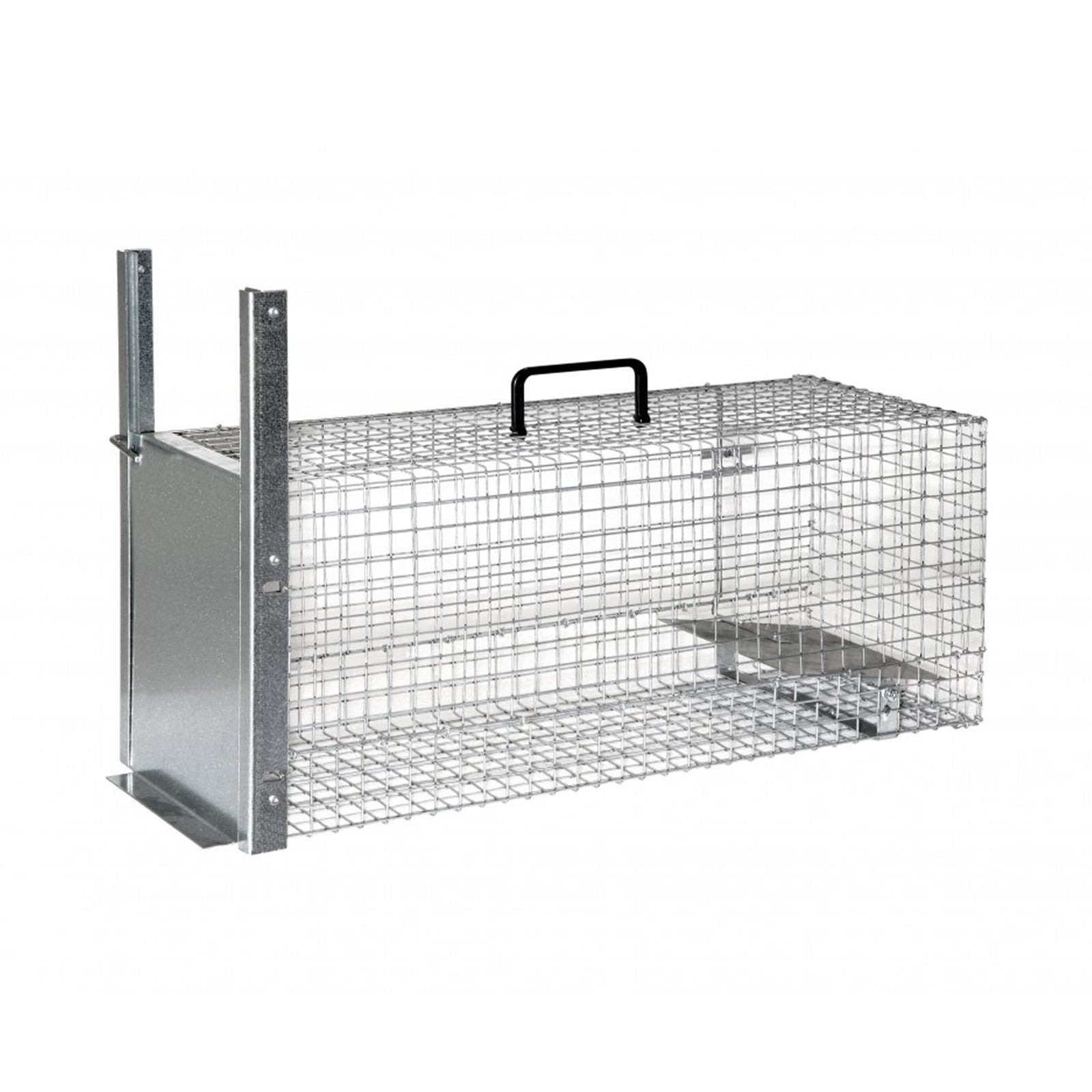 Trappola per predatori come volpi e roditori di grosse dimensioni ad entrata singola