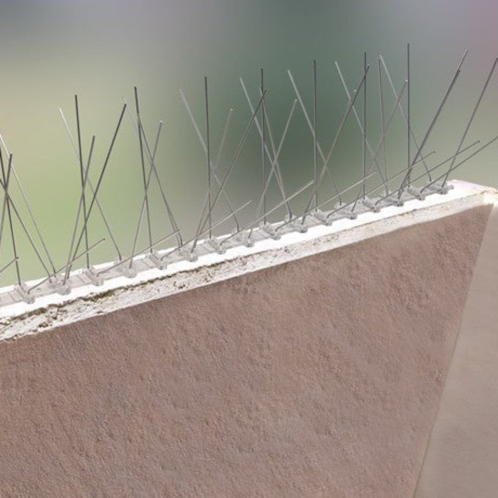 Dissuasore per Piccioni e Uccelli in acciaio inox da muro 80 spilli
