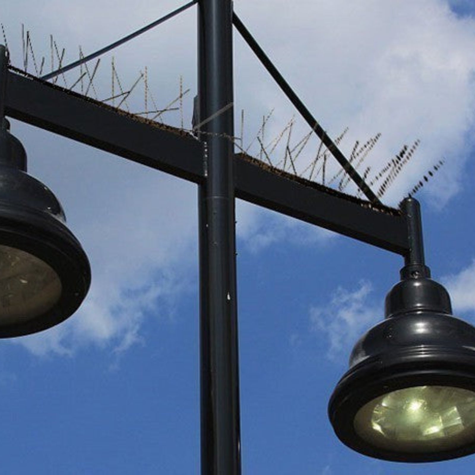 Dissuasore per Piccioni e Uccelli in acciaio inox con base in Policarbonato da muro