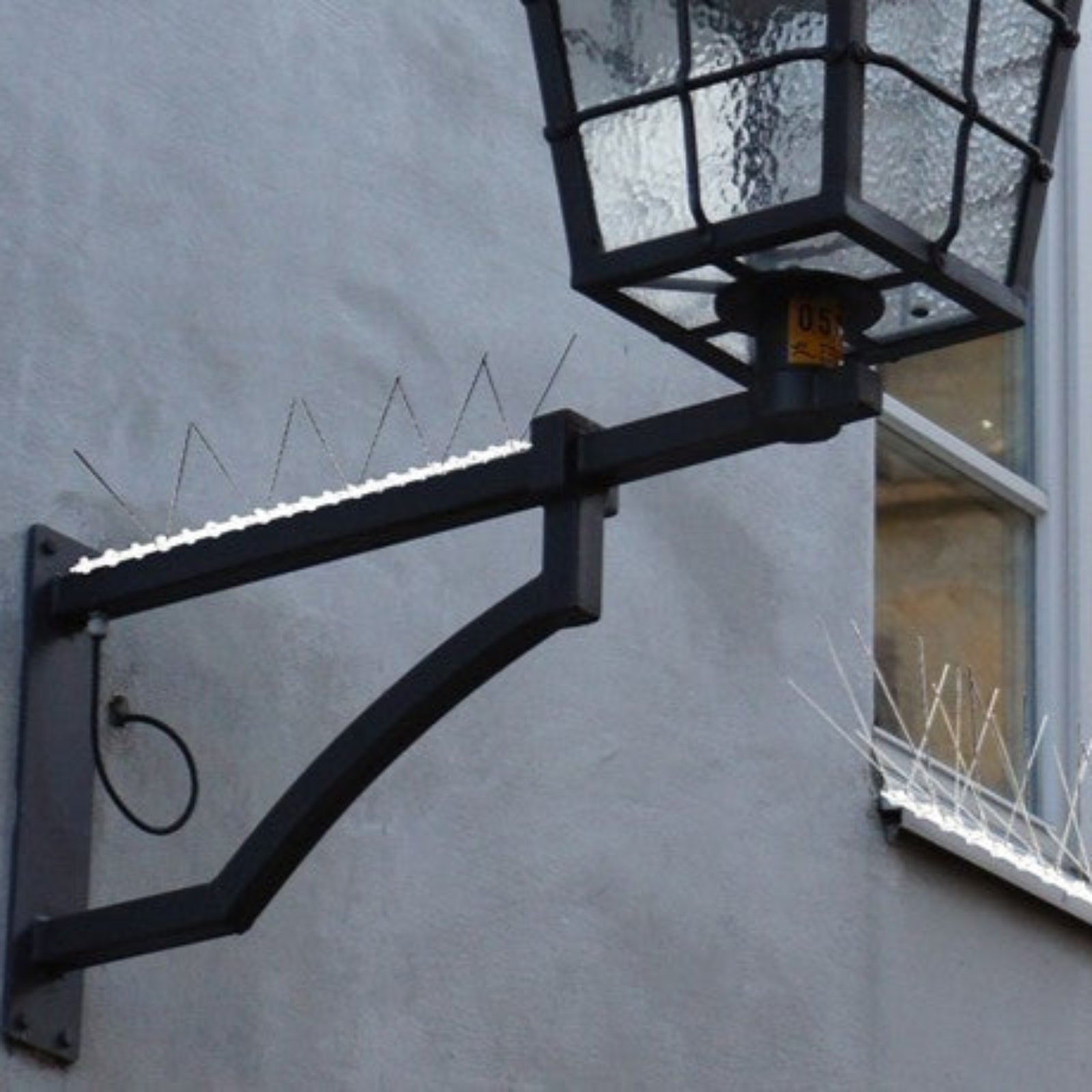 Dissuasore per Piccioni e Uccelli in acciaio inox da muro 80 spilli