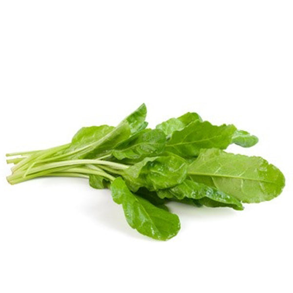 Semi di bietola verde "Da taglio o erbetta" piante per orto e giardino kg 0,5