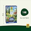 Concime "COMPO" blu universale 5 kg per tutte le colture da orto e giardino