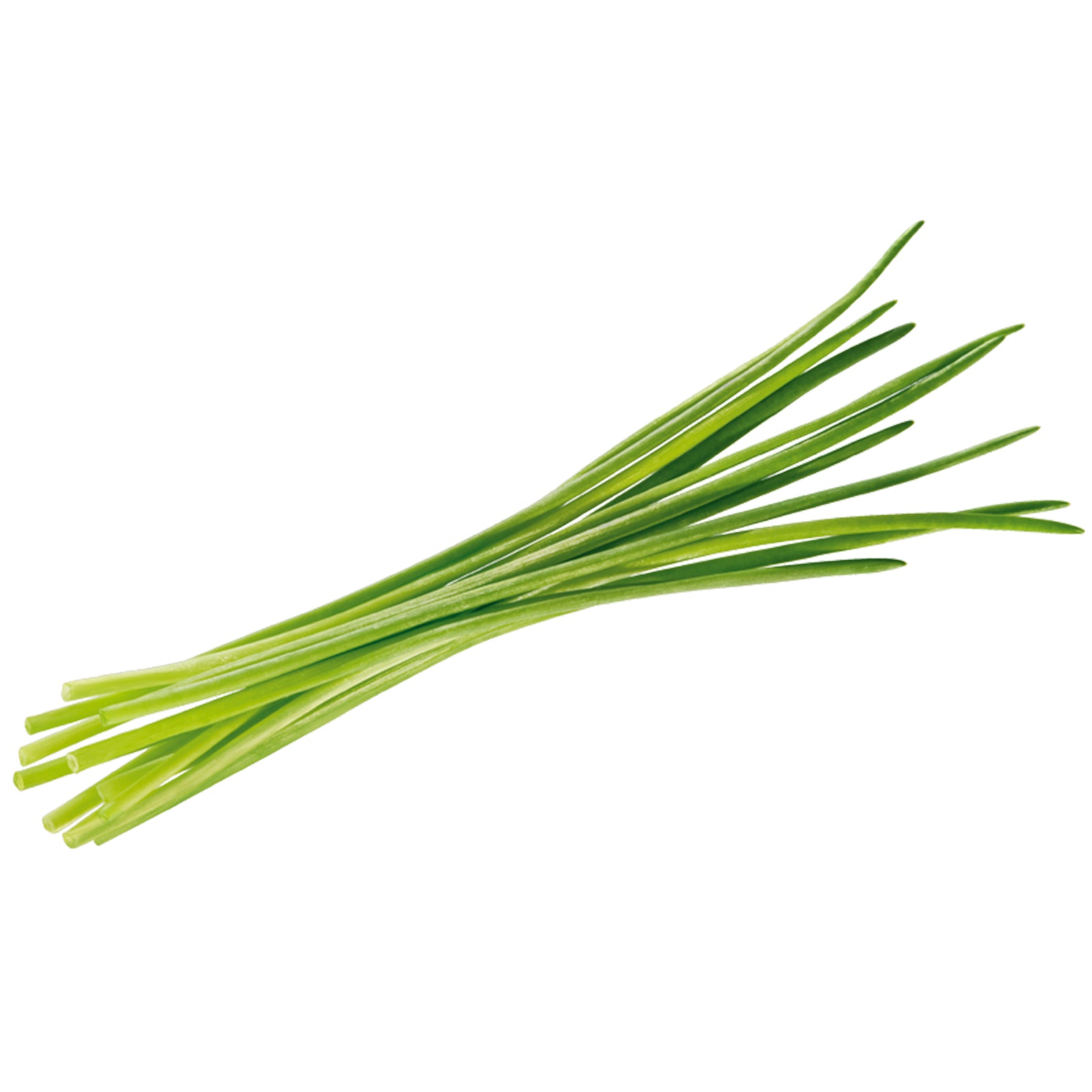 Semi di erba cipollina piante per orto e giardino coltivazione domestica e professionale