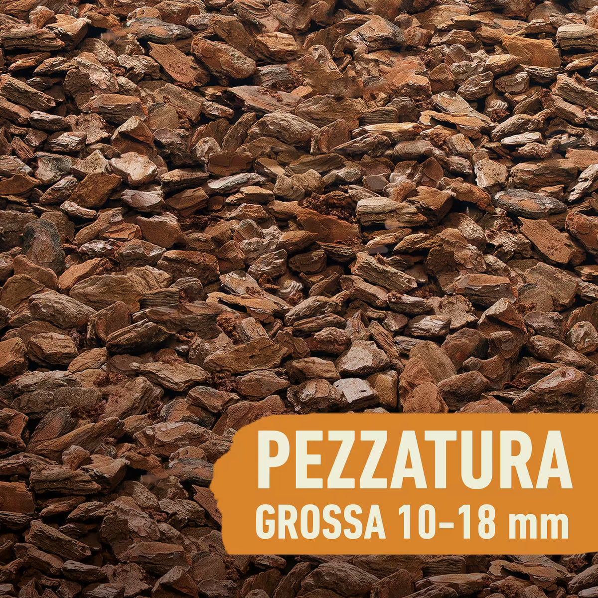Terriccio Compo ZOO Lettiera per Terrari di Rettili uso professionale, da 10 litri
