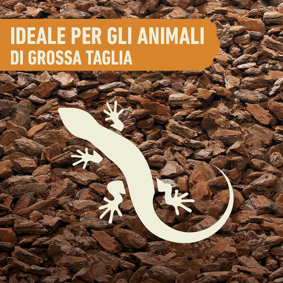 Terriccio Compo ZOO Lettiera per Terrari di Rettili uso professionale, da 10 litri