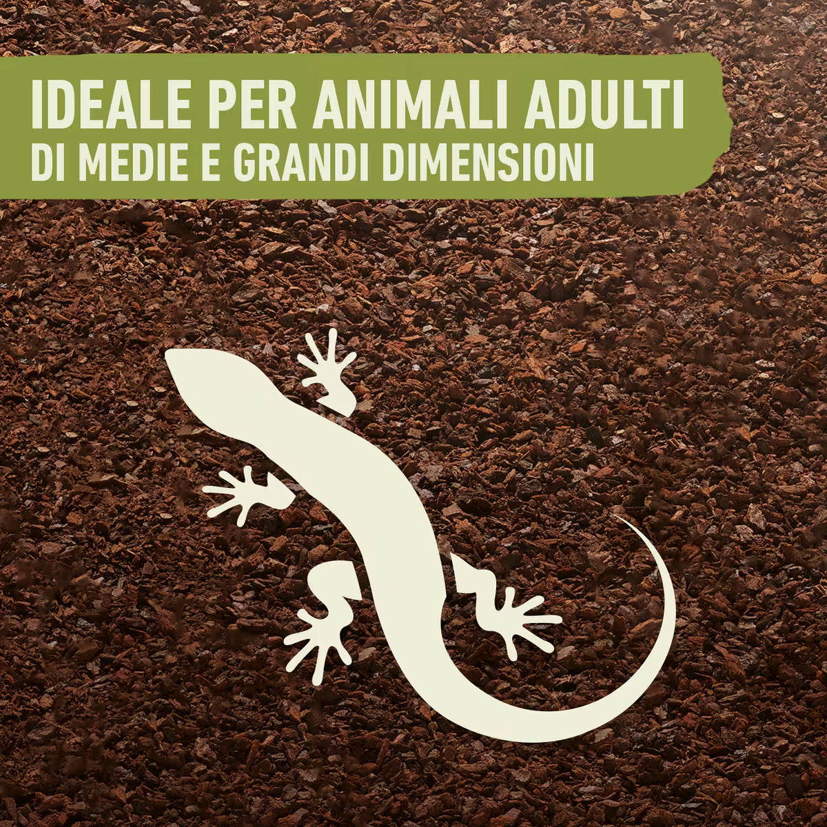 Terriccio Compo ZOO Lettiera per Terrari di Rettili uso professionale, da 10 litri