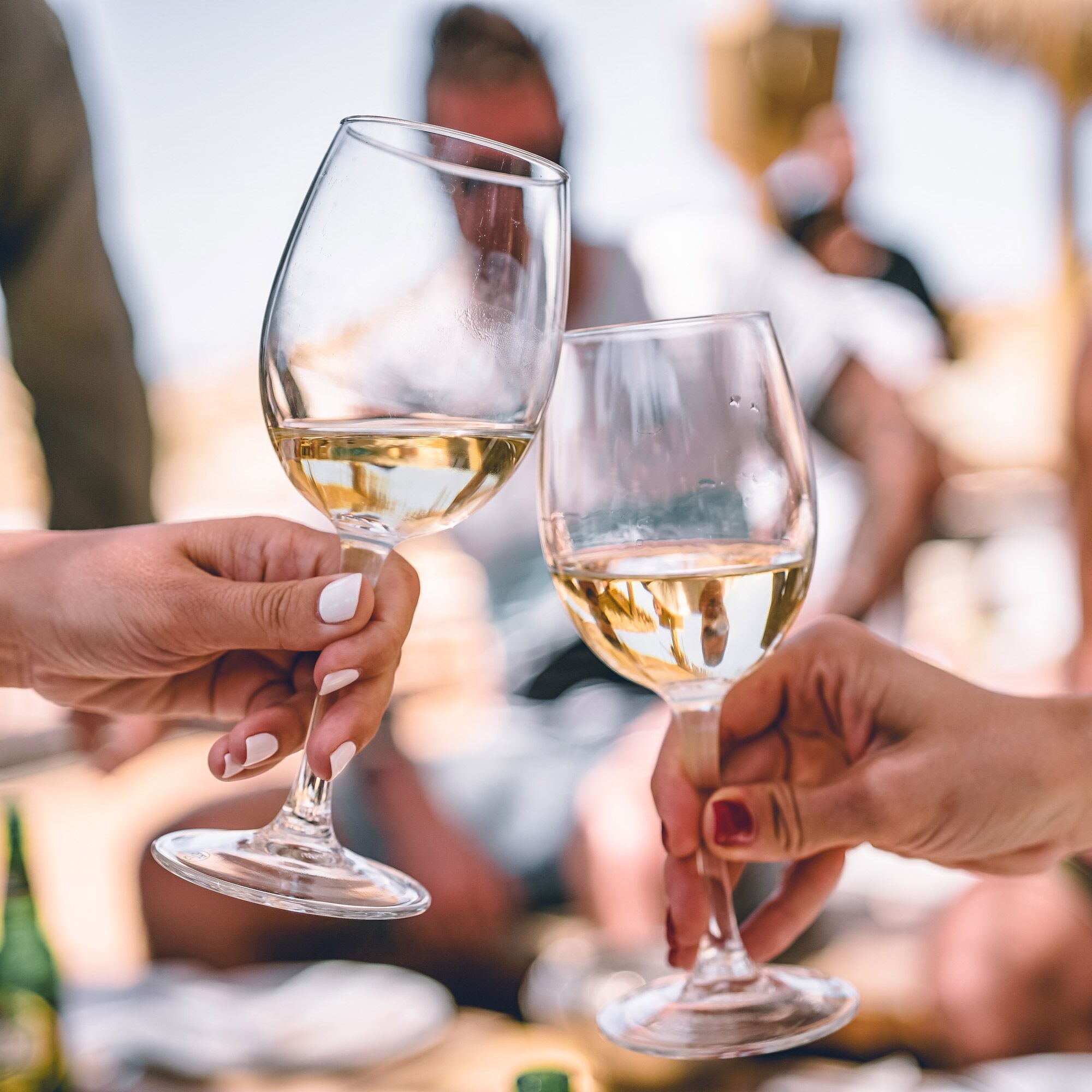 Cantinetta refrigerante con porta in vetro, capienza 33 bottiglie