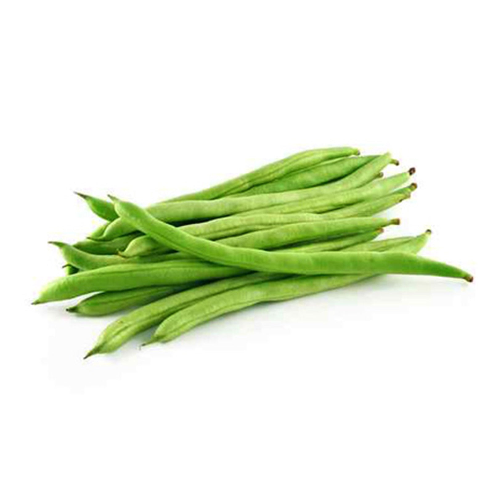 Semi di fagiolo "Nano mangiatutto boby bianco" piante per orto e giardino coltivazione domestica e professionale kg 0,5