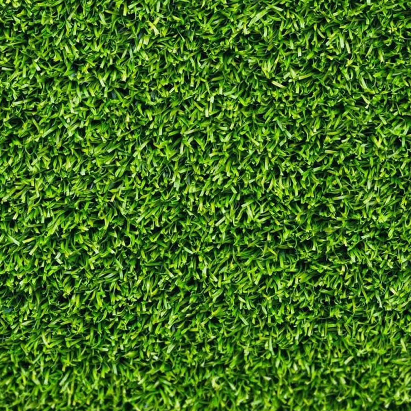 Semi di prato rustico piante per orto e giardino coltivazione domestica e professionale kg 1