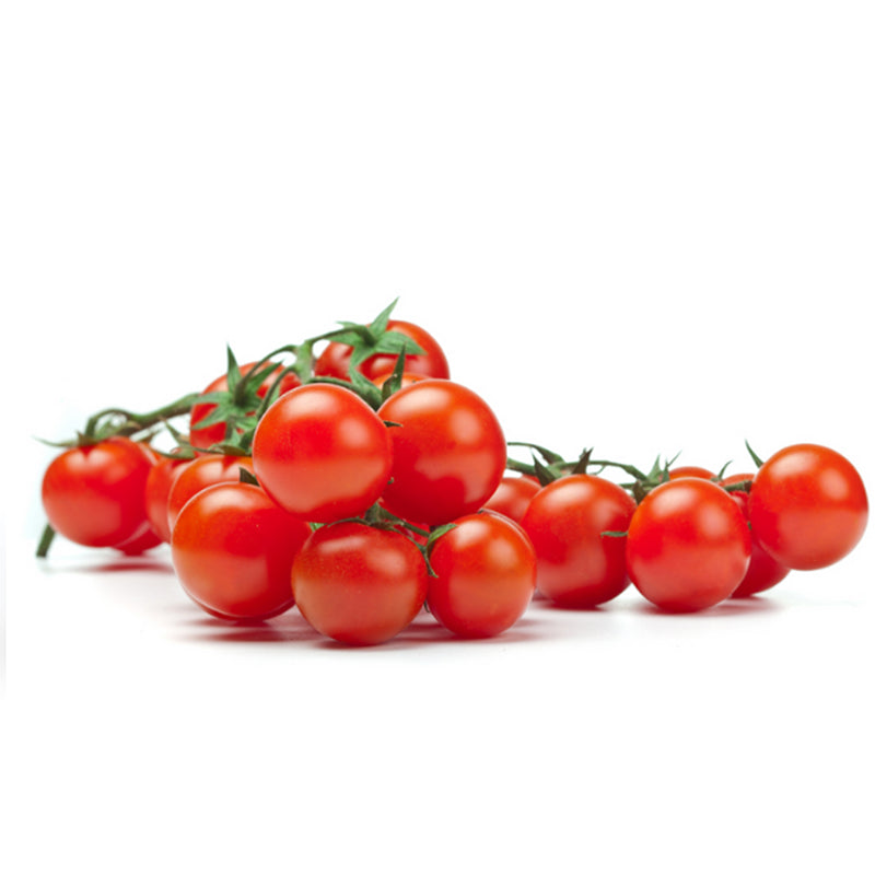 Semi di pomodoro "Ciliegino nano" piante per orto e giardino coltivazione domestica e professionale
