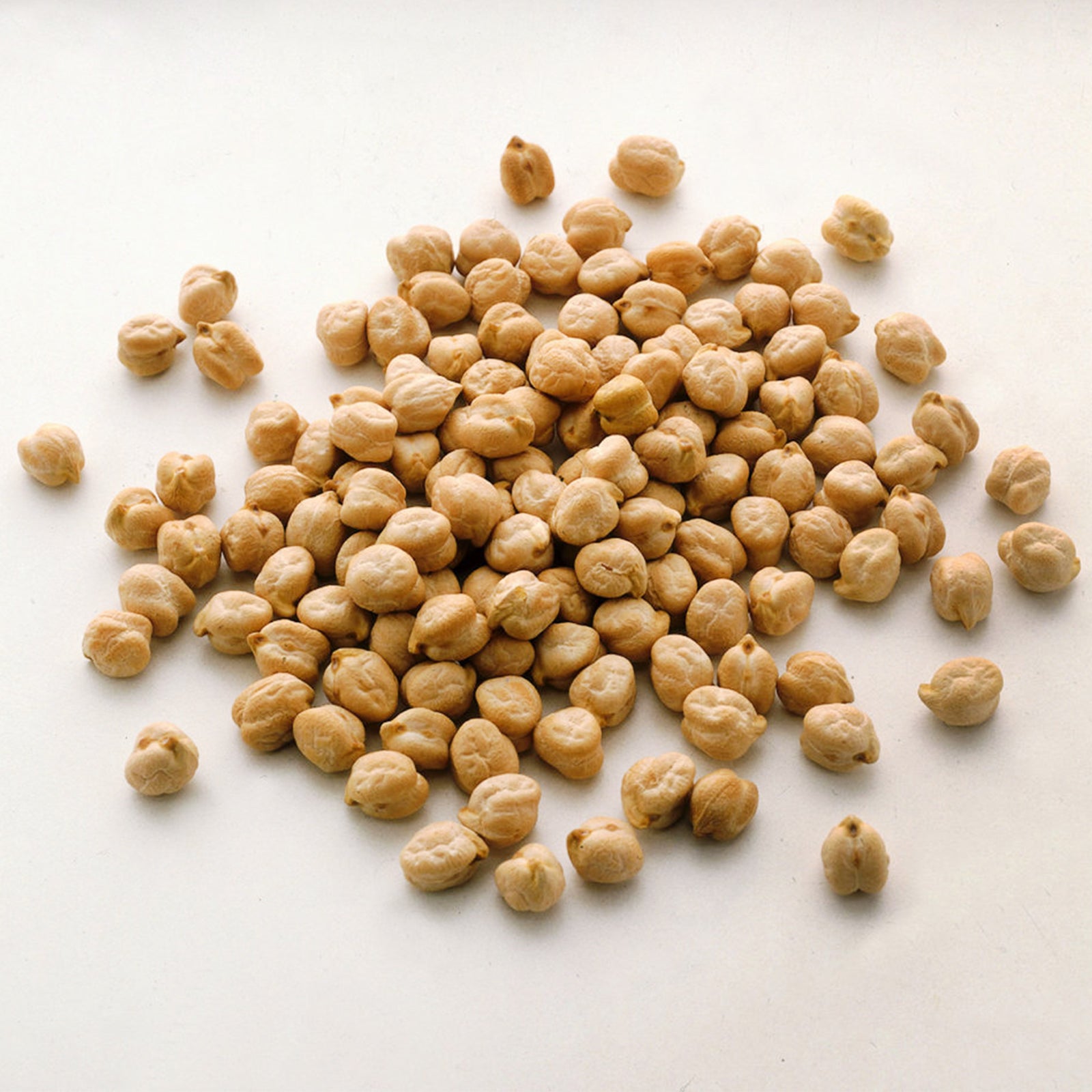 Semi di Cece piante per orto e giardino coltivazione domestica e professionale