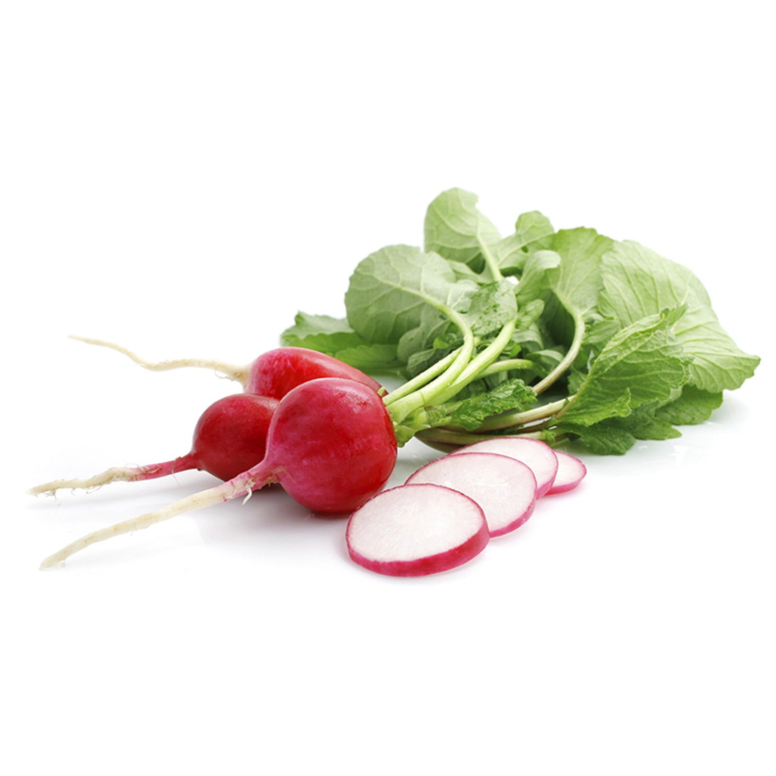 Semi di ravanello "champion"  piante per orto e giardino coltivazione domestica e professionale