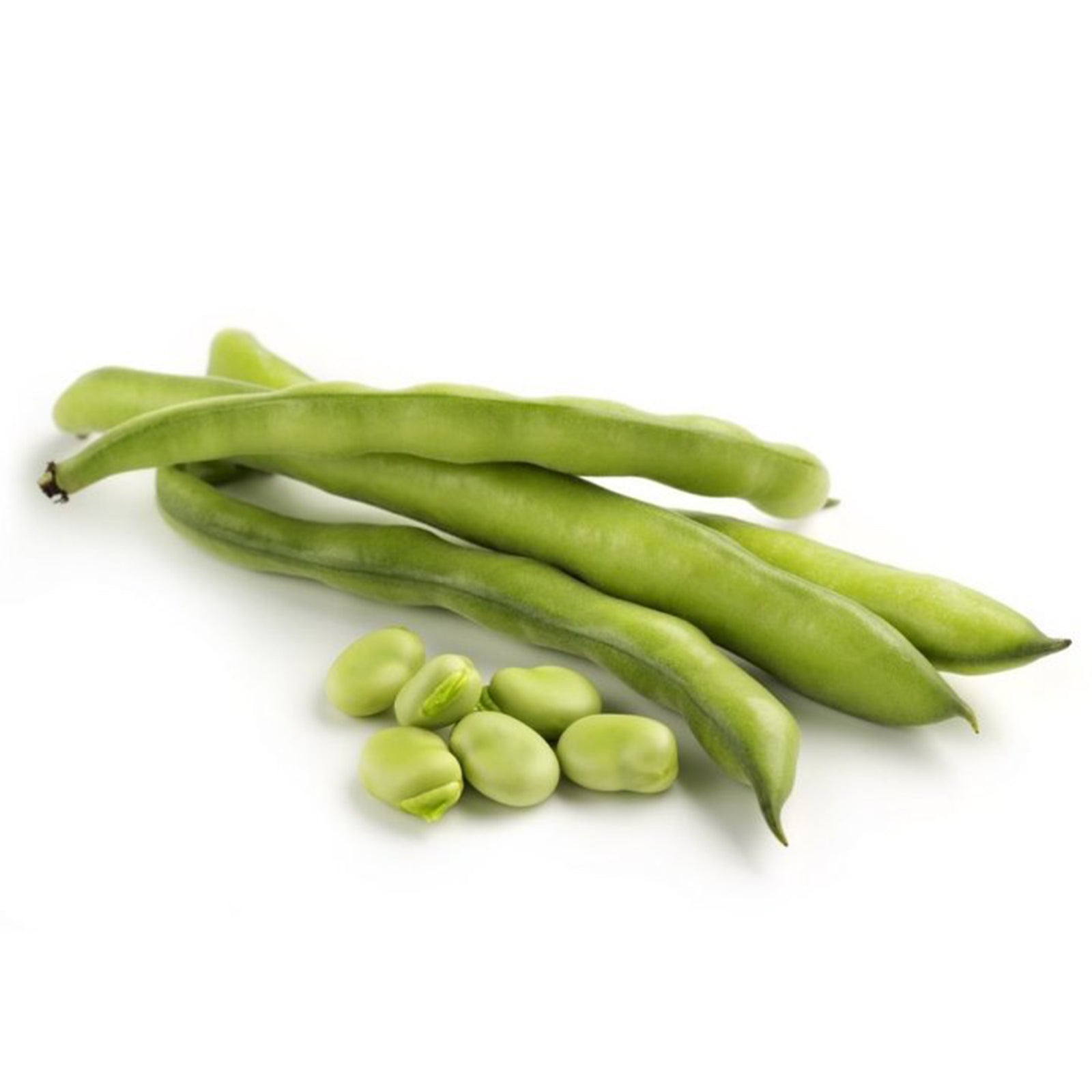 Semi di Fava "aguadulce supersimonia" piante per orto e giardino coltivazione domestica e professionale kg 1
