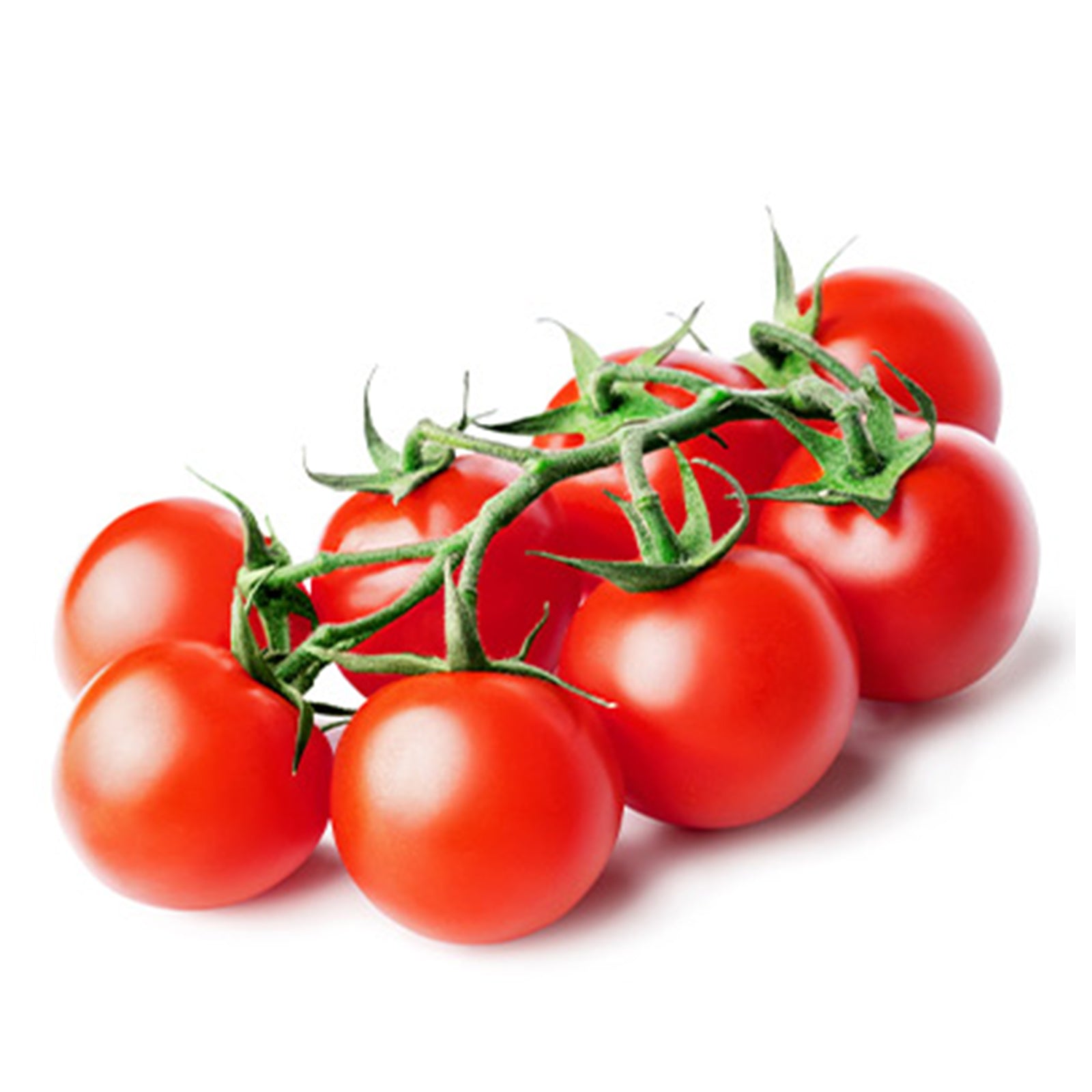 Semi di pomodoro "Tondino maremmano" piante per orto e giardino coltivazione domestica e professionale